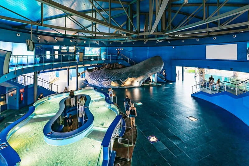 Barcelona Aquarium: Entry Ticket - Entrance Process and Ticketing Options