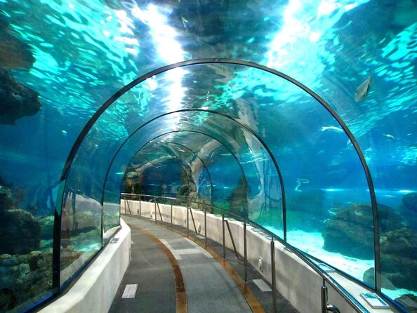 Barcelona Aquarium Skip the Line Ticket - Explore Europes Largest Aquarium in Barcelonas Port Vell