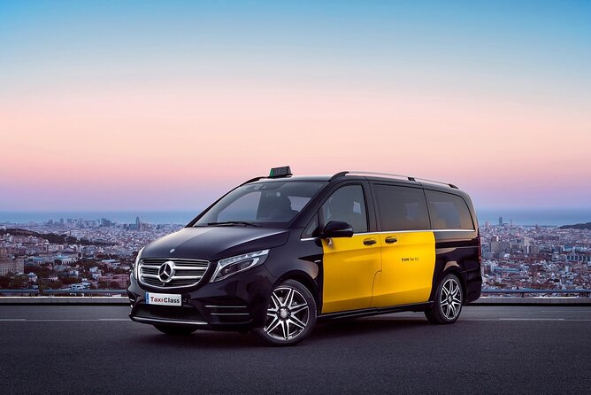 Barcelona Arrival Cruise Port to Airport private transfer - Limitations and Considerations