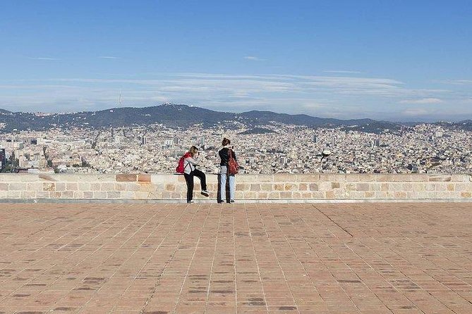 Barcelona Best Views: Old Town and Montjuic Castle Private Tour - Discovering Raval and Fernando Botero’s Iconic Cat