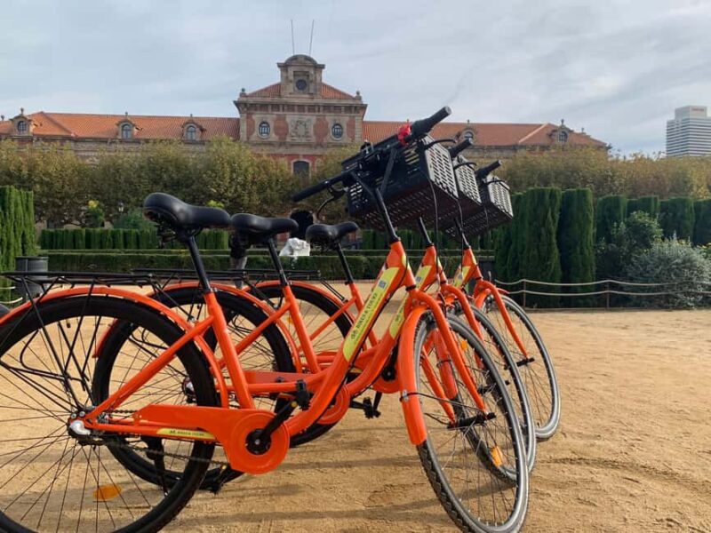 Barcelona Bike Tour: Iconic Sights & Hidden Snack Spot - Discover Barcelona’s Most Famous Landmarks Up Close