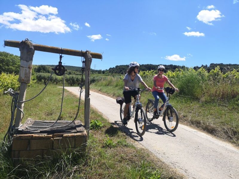 Barcelona: Bike & Wine Guided Tour - Penedès vineyards - Exploring the Scenic Vineyards Near Barcelona