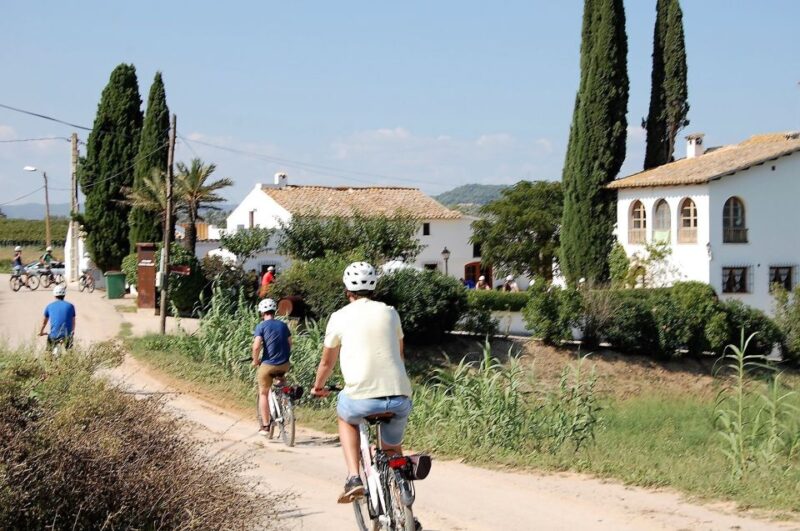 Barcelona: Bike & Wine Guided Tour - Penedès vineyards - Visiting an Ecologic Traditional Winery