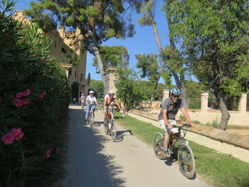 Barcelona: Bike & Wine Guided Tour - Penedès vineyards - Tasting Local Organic Wines and Cavas