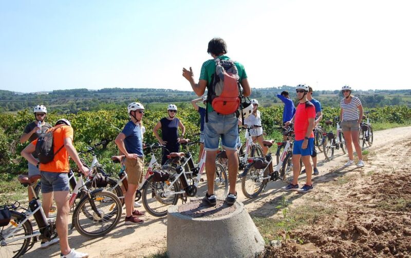Barcelona: Bike & Wine Guided Tour - Penedès vineyards - Logistics and Accessibility