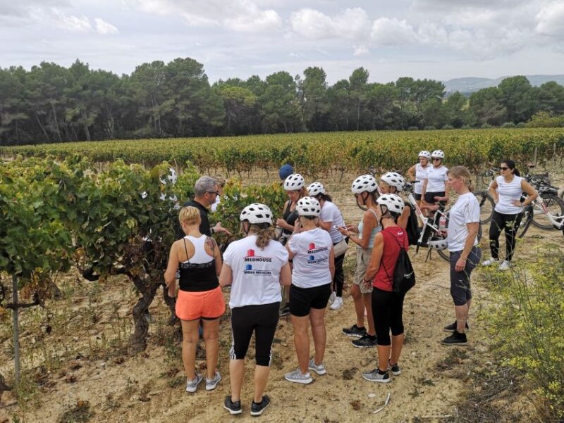 Barcelona: Bike & Wine Guided Tour - Penedès vineyards - What Makes This Tour Stand Out: Authenticity and Local Knowledge