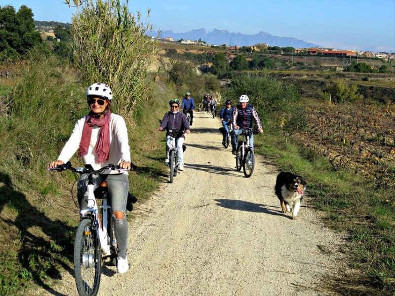 Barcelona: Bike & Wine Guided Tour - Penedès vineyards - Limitations and Considerations