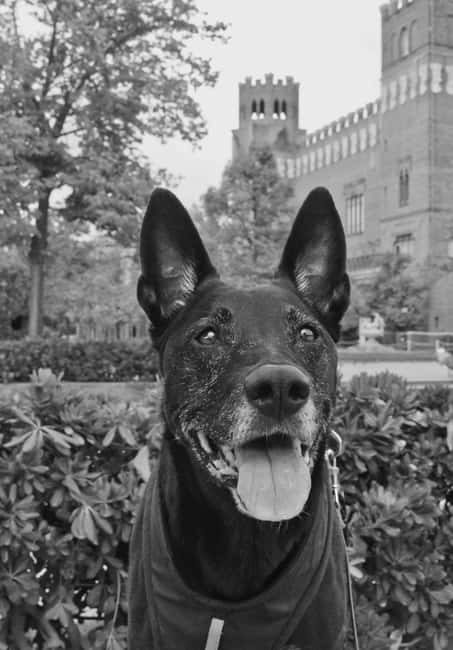 Barcelona: Black & White Cinematic Photoshoot - A Cinematic Approach to Barcelona’s Streets