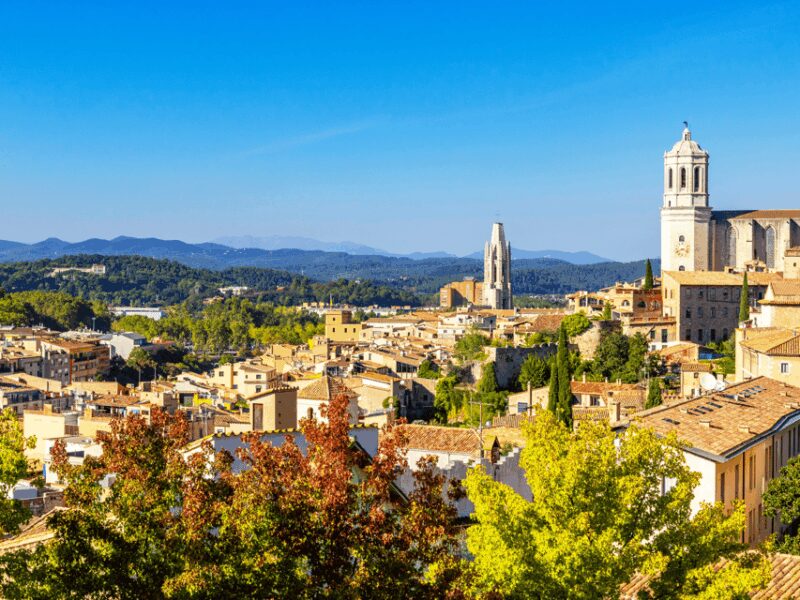 Barcelona: Carcassonne & Girona Tour - Key Points