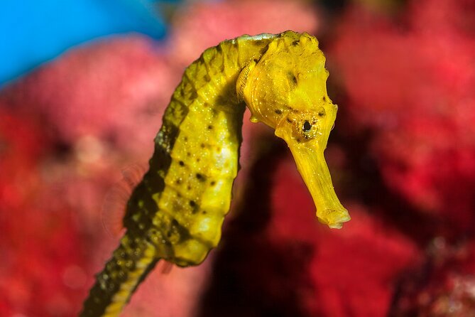 Barcelona Card: Museums + Transport for 72h, 96h or 120h - Who Will Benefit Most from the Barcelona Card?