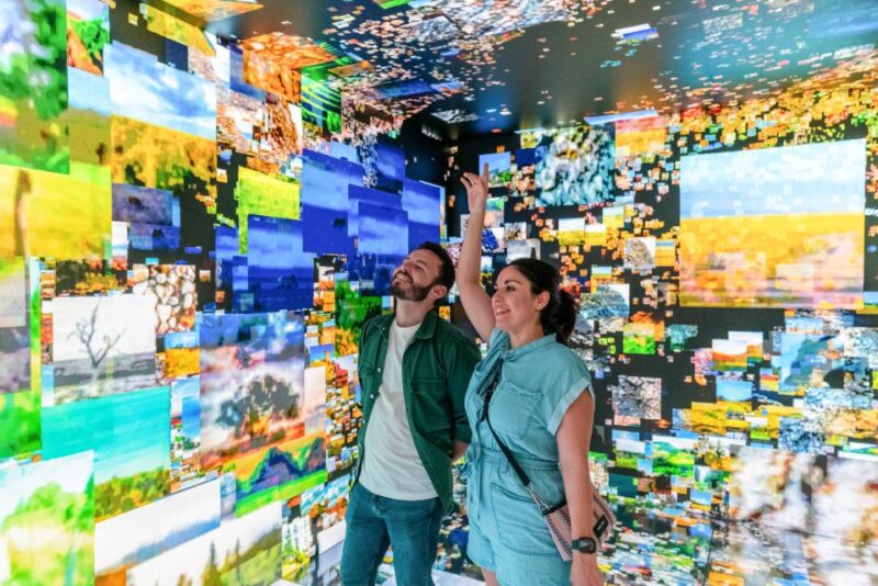 Barcelona: Casa Batlló Entry with Self-Audioguide Tour - Access to the Gaudí Cube and Augmented Reality Features