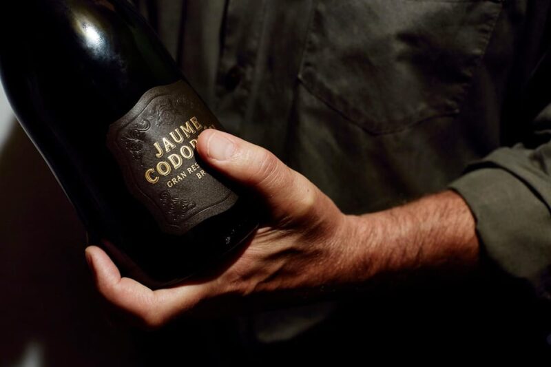 Barcelona: Casa Codorníu Guided Tour with Cava Tastings - Tasting Three Premium Cavas and Small Appetizer