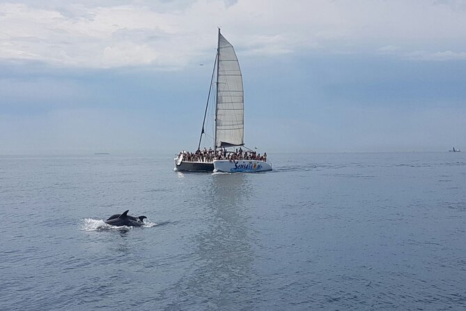 Barcelona Catamaran Party Tour For Young People - The Atmosphere: For Young People and Party Enthusiasts