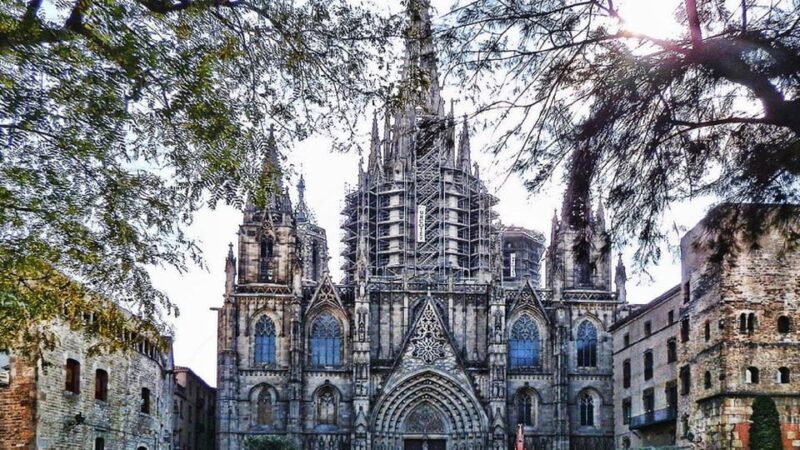 Barcelona Cathedral: Exclusive walking tour & entry tickets. - The Starting Point: Meeting at Barcelona Cathedrals Entrance