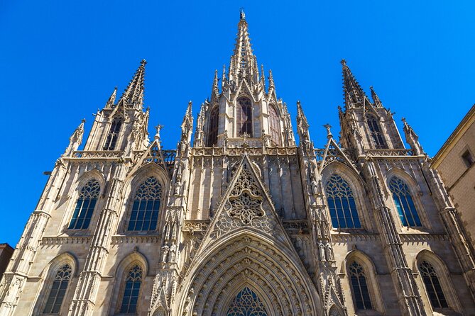 Barcelona Cathedral: Ticket, Guided Tour, Terrace + VR Experience - Key Points
