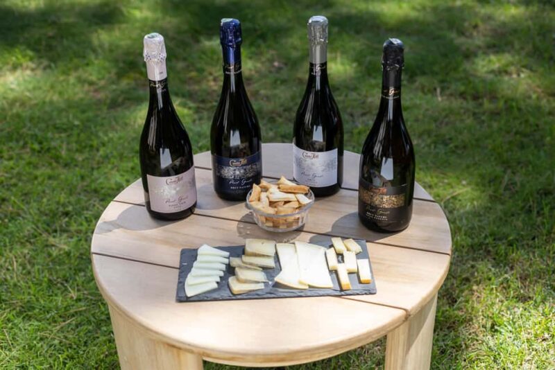 Barcelona: Cavas Hill - Winery Tour & Cheese Tasting - Explore Cavas Hill’s Historic Cellars and Modernist Main House