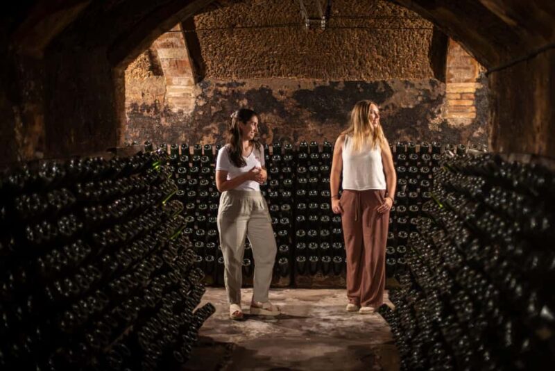 Barcelona: Cavas Hill - Winery Tour & Cheese Tasting - Unique Pairing of Artisanal Cheese and Cava