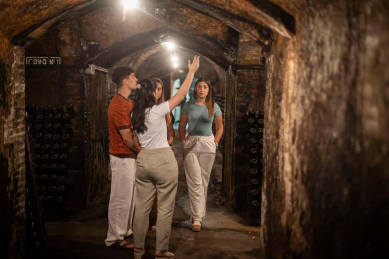 Barcelona: Cavas Hill - Winery Tour & Cheese Tasting - Frequently Asked Questions