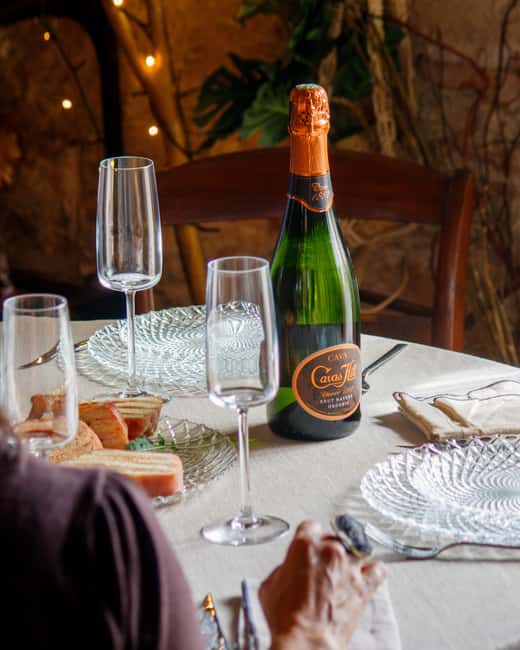 Barcelona: Cavas Hill Winery Tour with Catalan Brunch - Descending into the Historic Cellar