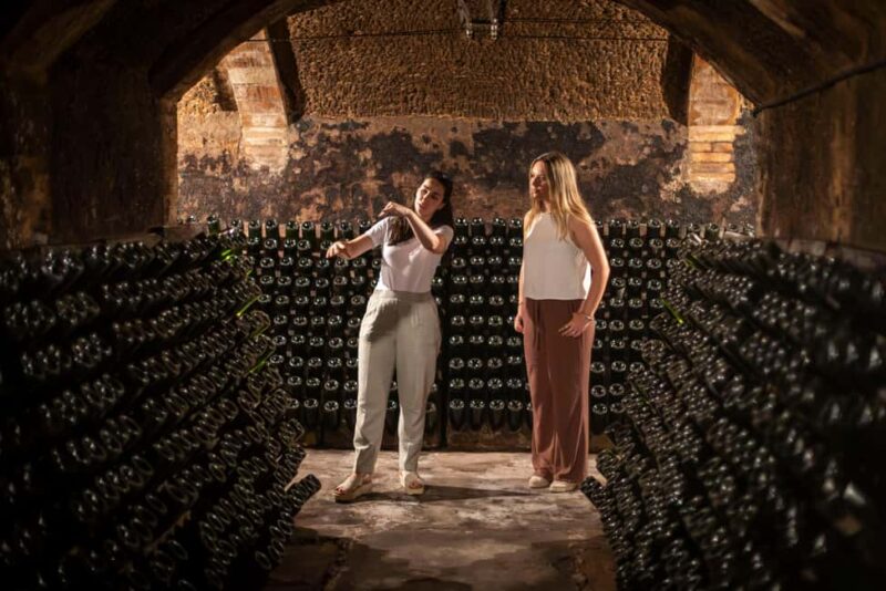 Barcelona: Cavas Hill Winery Tour with Catalan Brunch - Catalan Brunch: A Taste of Local Flavors