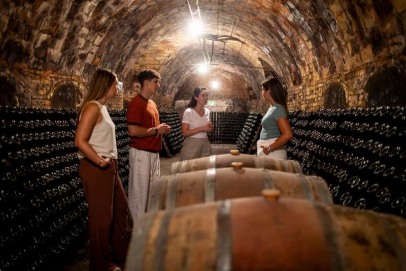 Barcelona: Cavas Hill Winery Tour with Catalan Brunch - Physical Requirements and Accessibility