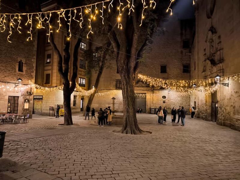Barcelona: Christmas Lights and Hidden Streets Walking Tour - The Gothic Quarter’s Historic Charm