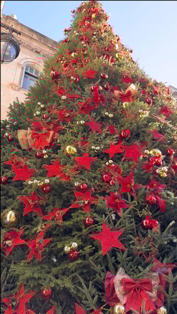 Barcelona: Christmas Lights and Markets Bike Tour - Discovering Barcelonas Festive Decor on Passeig de Gràcia