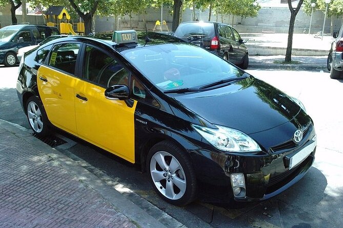 Barcelona city to/from Airport, cruise Port private Transfer - Handling Delays and Missed Connections