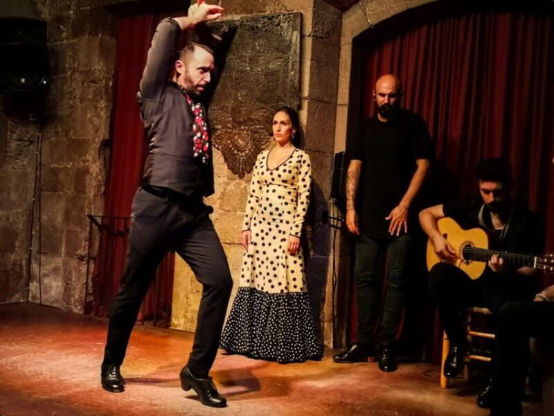 Barcelona: City Tour & Flamenco Show with Wine & Tapas - Flamenco Show at Palau Dalmases