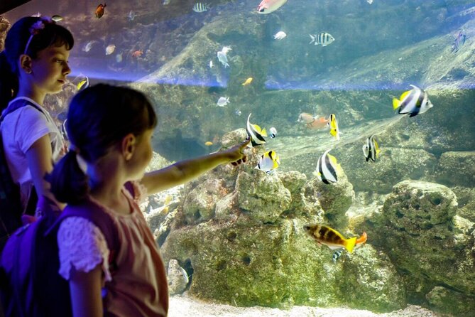 Barcelona City Tour Hop-On Hop-Off and Aquarium - Limitations to Consider