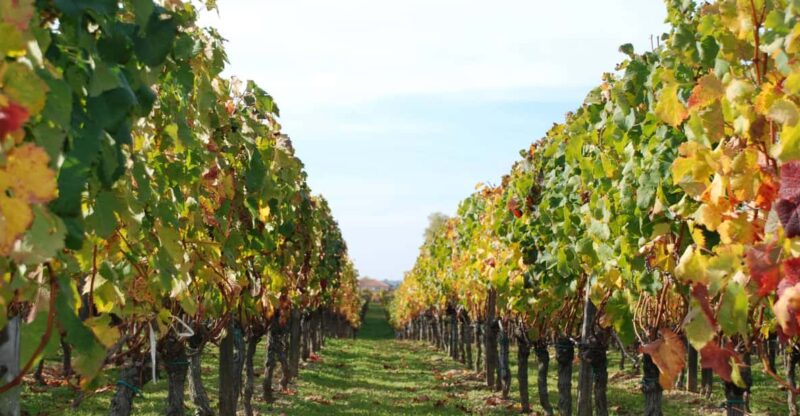 Barcelona: Coastline E-Bike and Wine Tasting Tour - What Sets This Tour Apart from Similar Experiences