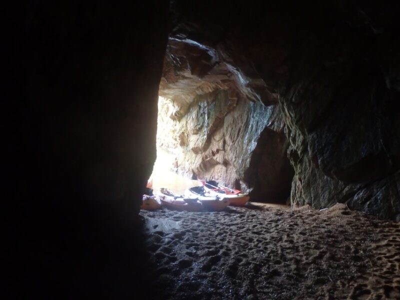 Barcelona: Costa Brava Kayak, Snorkel & Cliff Jump & Lunch - Snorkeling in the Mediterranean: Underwater Encounters