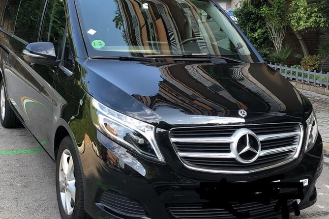 Barcelona Cruise port to barcelona city private transfer - Testimonials Highlighting Punctuality and Service Quality