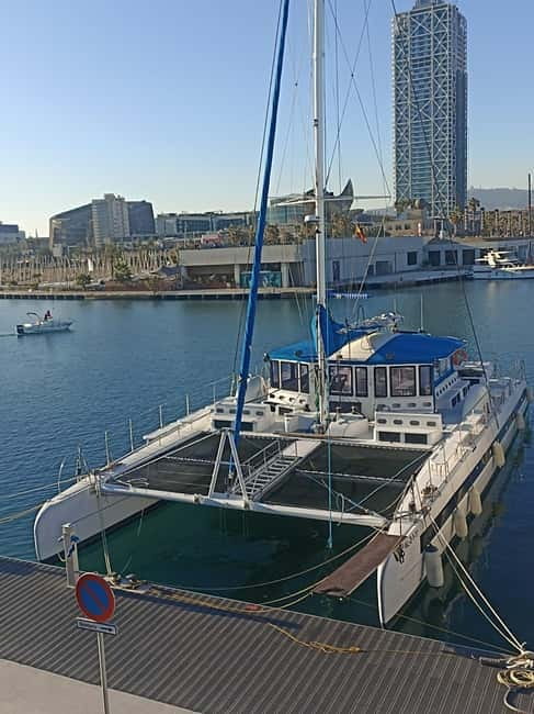 Barcelona: Daytime or Sunset Cruise with Drinks - Group Size and Accessibility