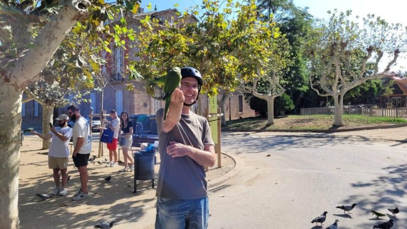 Barcelona: e-scooter and Bike tour - Iconic Landmarks: Columbus and Arc de Triomf