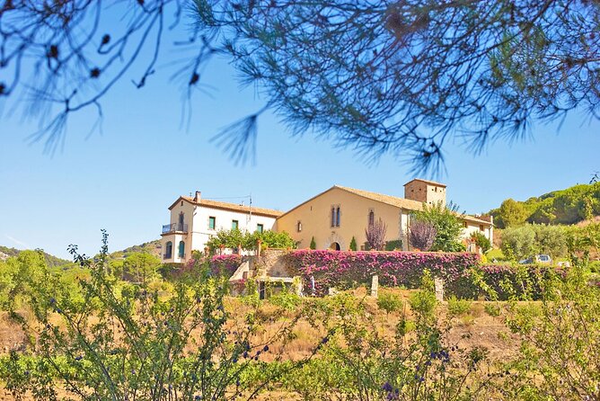 Barcelona eBike Beach Private Tour to Vineyards & Picnic - Visiting the Town of Alella and its Vineyards