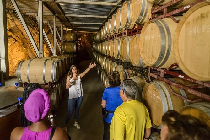 Barcelona eBike Beach Private Tour to Vineyards & Picnic - The Relaxing Cycle Back to Barcelona with Train Transfer