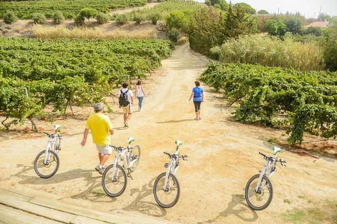 Barcelona eBike Beach Private Tour to Vineyards & Picnic - Practical Details: Logistics and Group Size