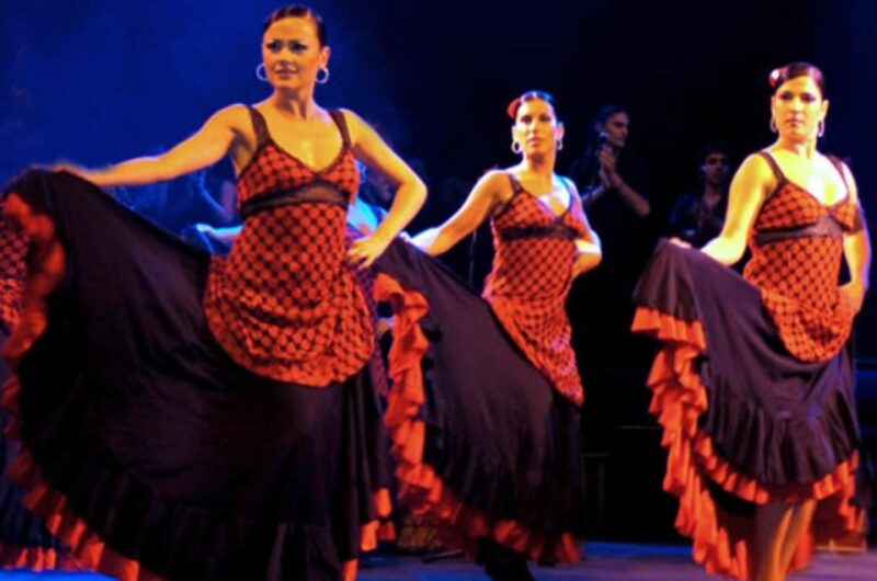 Barcelona: Flamenco at El Patio Andaluz with Optional Dinner - Who Would Enjoy This Flamenco Show Most