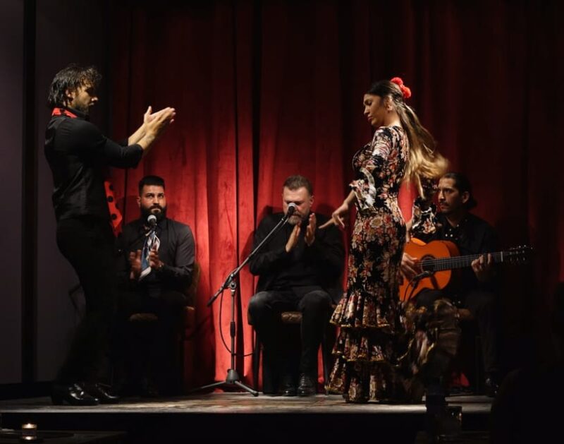 Barcelona: Flamenco Premium Show and Tour Guitar Museum - Discover the Unique Charm of Casa Sors in Barcelona
