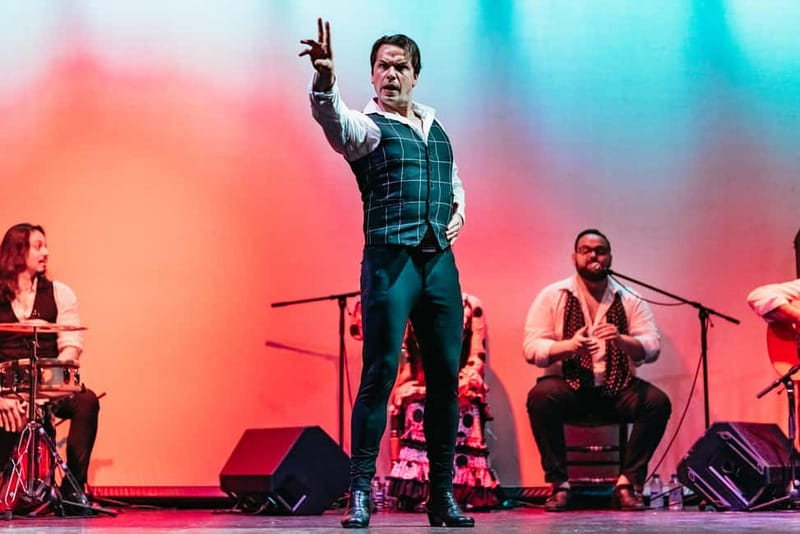 Barcelona: Flamenco Show at the Theater - Highlights of the Flamenco Performances