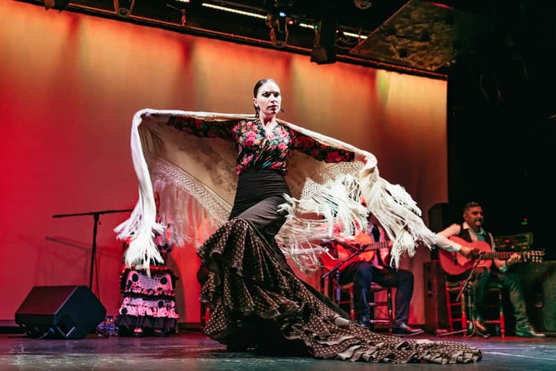 Barcelona: Flamenco Show at the Theater - The Atmosphere and Audience Experience