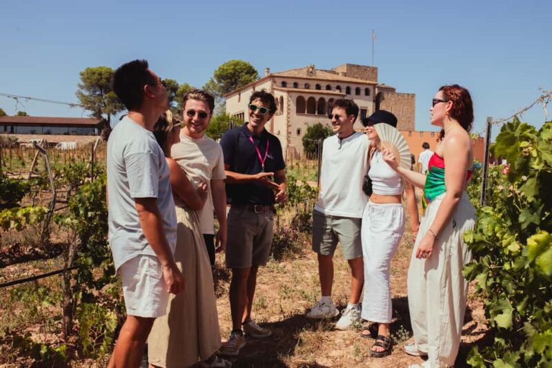 Barcelona: Full-Day Montserrat & Wine Small Group Tour - Walking the Vineyards and Learning Winemaking Secrets