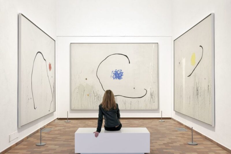 Barcelona: Fundació Joan Miró Skip-the-Line Entry Ticket - The Overall Experience and Value