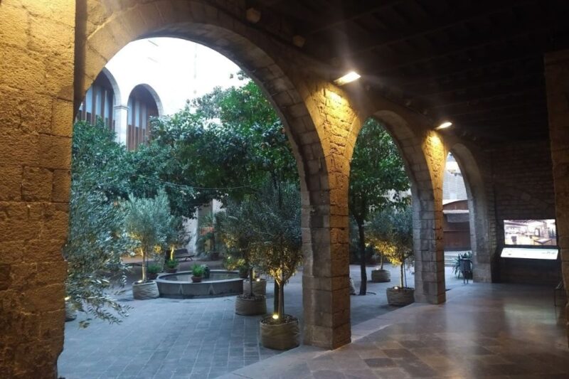 Barcelona: Gothic Quarter Walking Tour with Optional Tapas - Practical Details and Accessibility