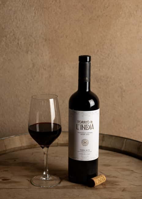 Barcelona: Gourmet Wine Tasting and Catalan Tapas - Discovering the Modernista Celler Experience in Barcelona