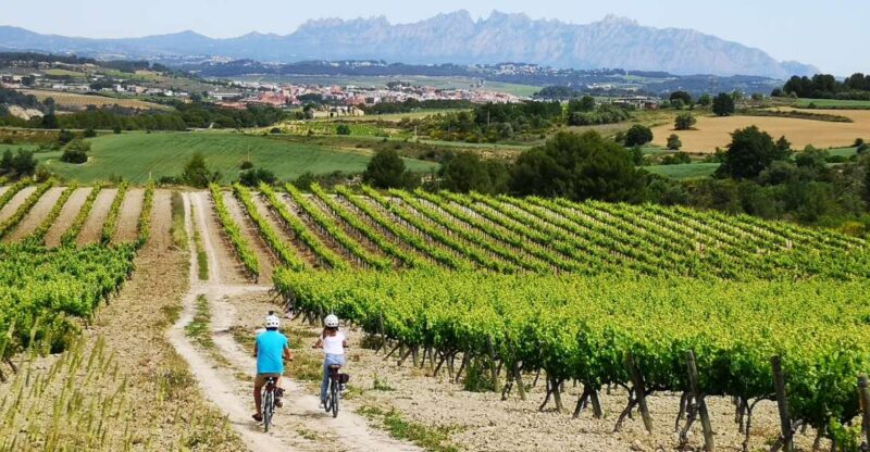 Barcelona: Guided Half-Day Wine and Electric Bike Tour - Key Points