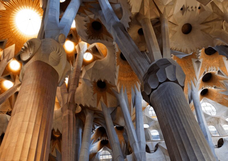 Barcelona Guided Sagrada Familia Tour & Sailing Experience - The Experience Provider and Customer Service