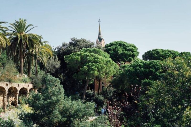 Barcelona: Half-Day Private Tour with Driver - Discover Barcelona in Comfort with a Private Driver