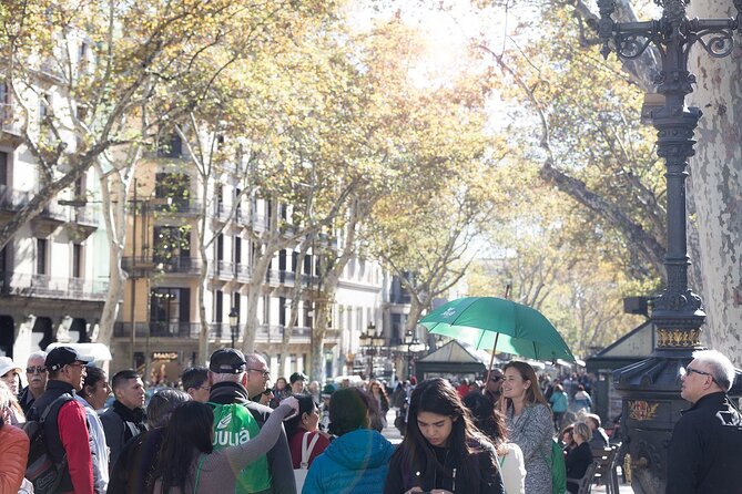 Barcelona Highlights and Montserrat with Cog-Wheel Train - Considerations Based on Reviews and Logistics